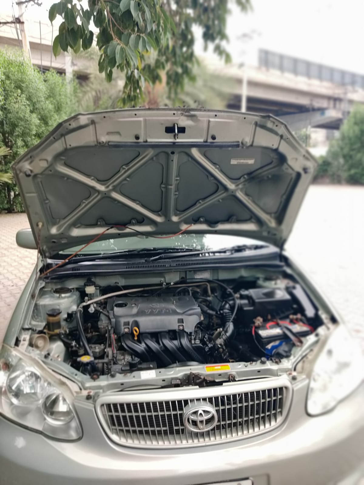 Toyota Corolla GLI GLI 2008